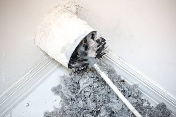 Best Professional Duct Cleaning Services  in Riviera Beach, MD